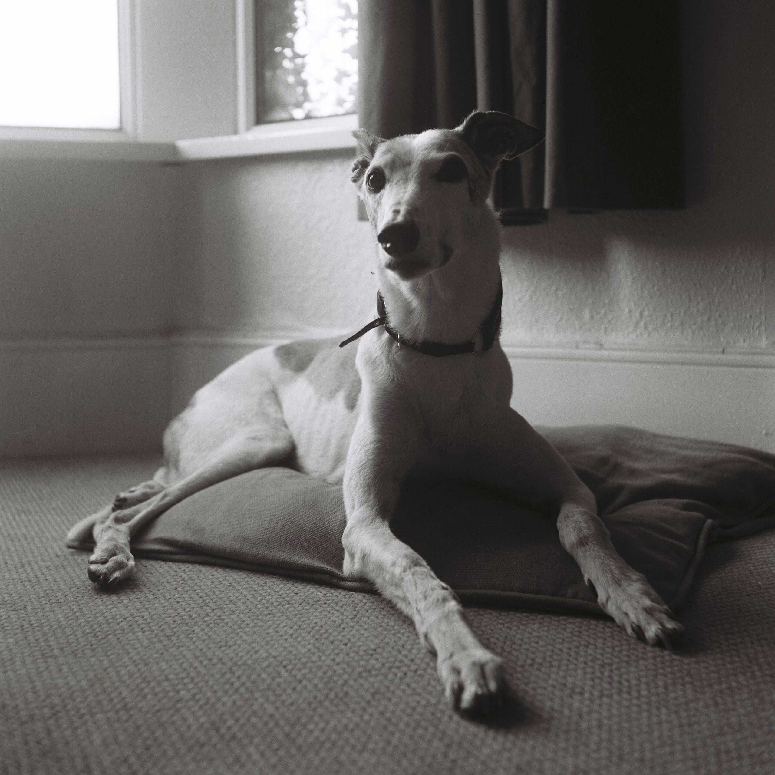My photographic journey