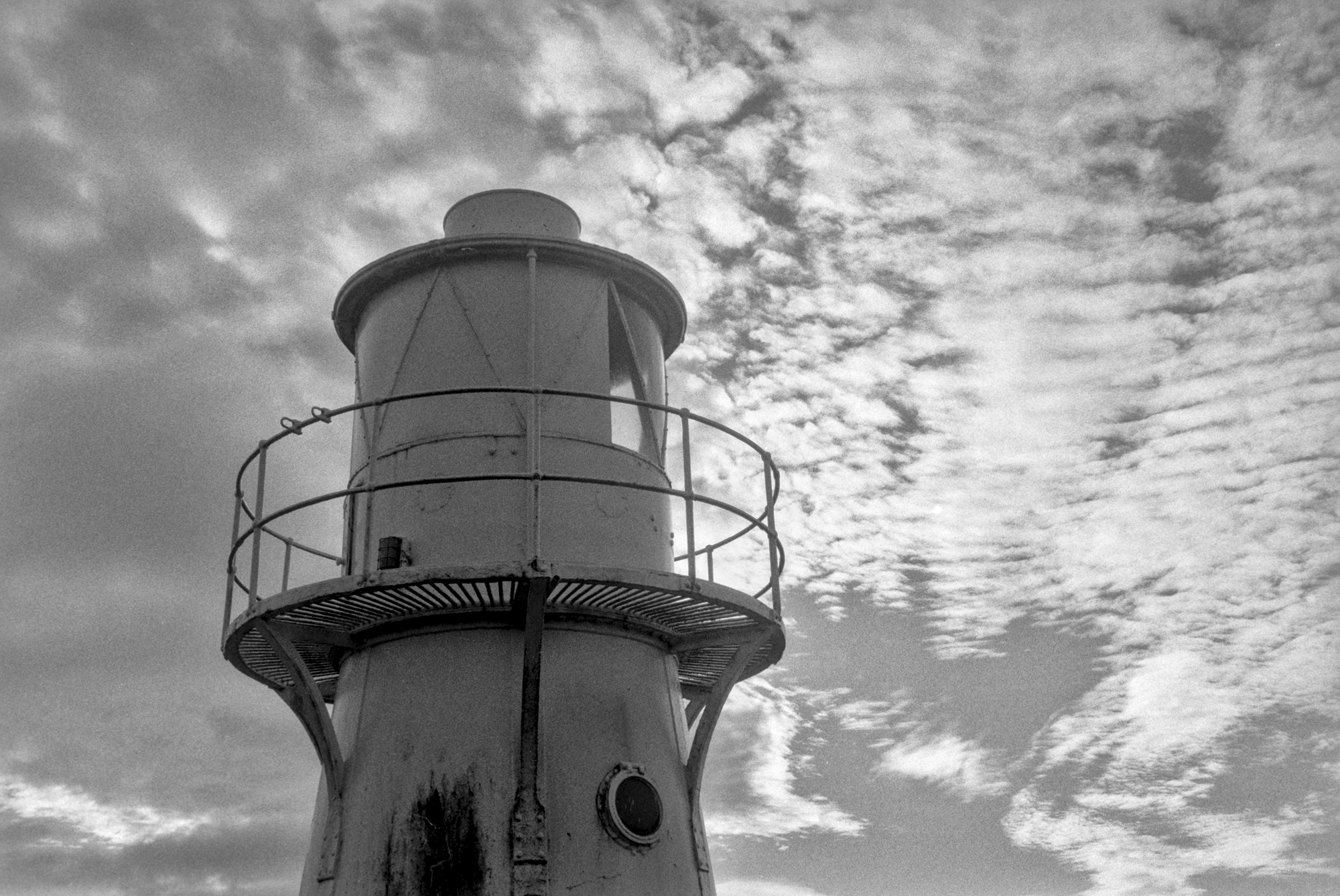 A Walk Around Newport Wetlands, Goldcliff & Nash